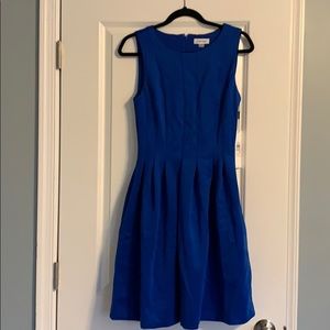Calvin Klein bright blue skater dress
